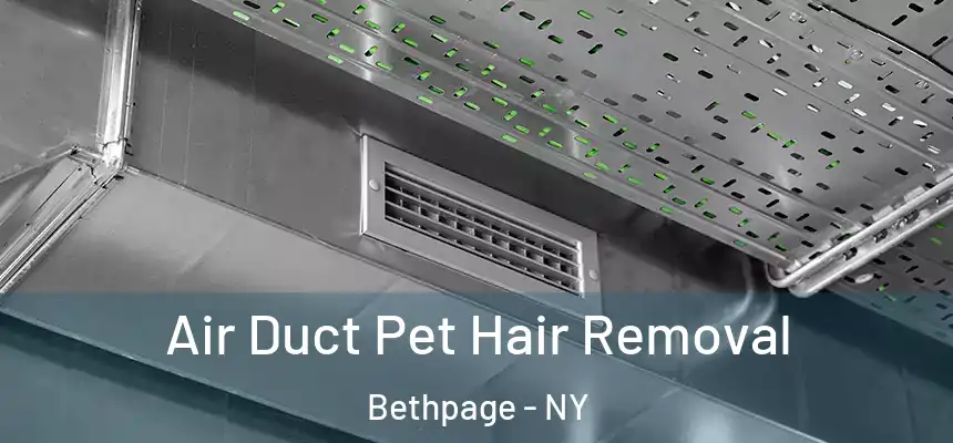 Air Duct Pet Hair Removal Bethpage - NY
