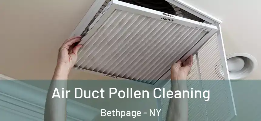 Air Duct Pollen Cleaning Bethpage - NY