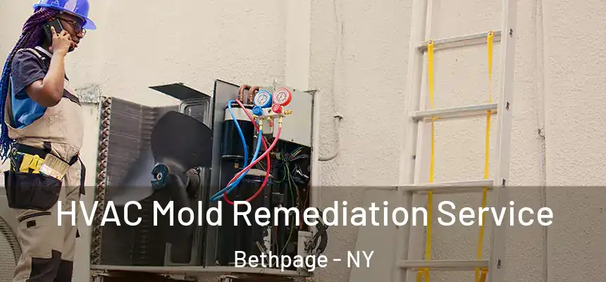 HVAC Mold Remediation Service Bethpage - NY