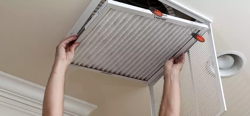 Preventive Cockroach-Proofing for Ducts in Bethpage