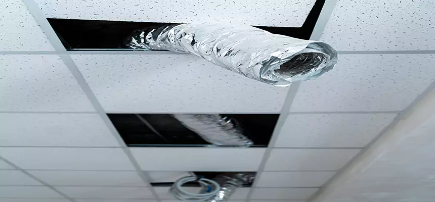 Our Air Duct Pet Hair Removal Services in Bethpage, NY