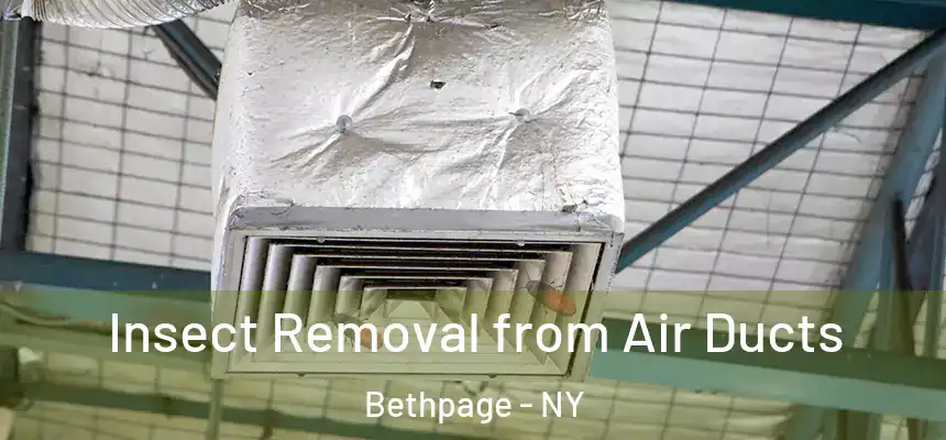 Insect Removal from Air Ducts Bethpage - NY