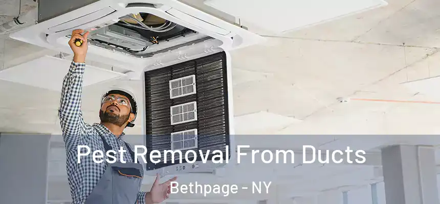 Pest Removal From Ducts Bethpage - NY