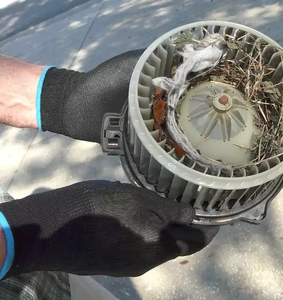 About Air Duct Rat Removal in Bethpage, NY