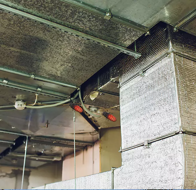 Why Homeowners & Businesses Trust Us in Bethpage, NY?